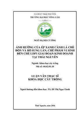 Luận văn thạc sĩ ảnh hưởng của ép xanh cành lá chè đốn và bổ sung lân chế phẩm vi sinh đến chè ldp1 giai đoạn kinh doanh tại thái nguyên