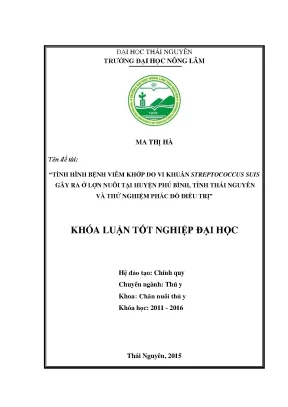 Luận văn thạc sĩ tình hình bệnh viêm khớp do vi khuẩn streptococcus suis gây ra ở lợn nuôi tại huyện phú bình tỉnh thái nguyên và thử nghiệm phác đồ điều trị