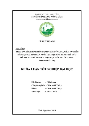 Luận văn thạc sĩ theo dõi tình hình mắc bệnh viêm tử cung viêm vú trên đàn lợn nái sinh sản nuôi tại trại bình minh mỹ đức hà nội và thử nghiệm hiệu lực của thuốc amox trong điều trị