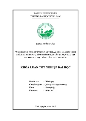 Luận văn nghiên cứu ảnh hưởng của vị trí lấy hom đến sự hình thành hom cây sa mộc dầu cunninghamia konishii hayata tại trường đại học nông lâm thái nguyên