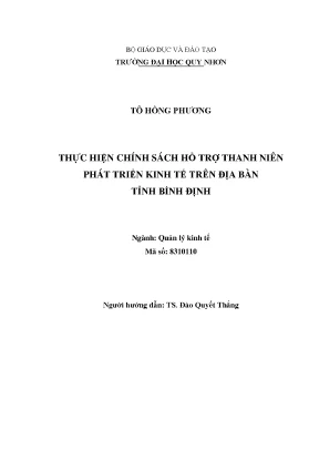 Luận văn thạc sĩ thực hiện chính sách hỗ trợ thanh niên phát triển kinh tế trên địa bàn tỉnh bình định