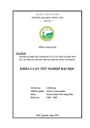 Luận văn thạc sĩ đánh giá hiệu quả kinh tế của cây ngô tại địa bàn xã cao thăng huyện trùng khánh tỉnh cao bằng