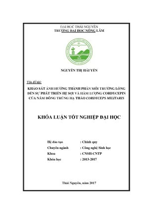 Luận văn khảo sát ảnh hưởng thành phần môi trường lỏng đến sự phát triển hệ sợi và hàm lƣợng cordycepin của nấm đông trùng hạ thảo cordyceps militaris