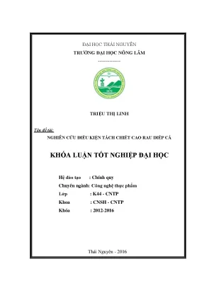 Luận văn thạc sĩ nghiên cứu điều kiện tách chiết cao rau diếp cá