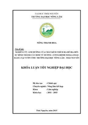 Luận văn thạc sĩ nghiên cứu ảnh hưởng của chất kích thích ra rễ iba đến sự hình thành cây hom vù hương cinnmamomun balansae h lec tại vườn ươm