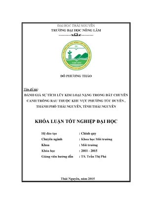 Luận văn thạc sĩ đánh giá sự tích lũy kim loại nặng trong đất chuyên canh trồng rau thuộc khu vực phường túc duyên thành phố thái nguyên tỉnh thái nguyên