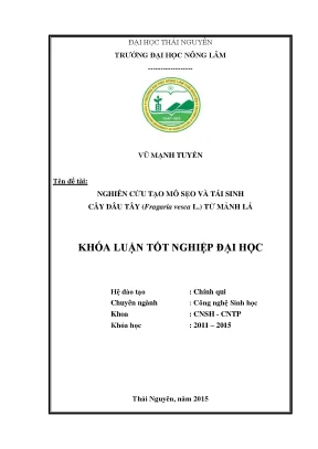 Luận văn thạc sĩ nghiên cứu tạo mô sẹo và tái sinh cây dâu tây fragaria vesca l từ mảnh lá