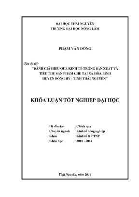 Luận văn thạc sĩ đánh giá hiệu quả kinh tế trong sản xuất và tiêu thụ sản phẩm chè tại xã hoà bình huyện đồng hỷ tỉnh thái nguyên