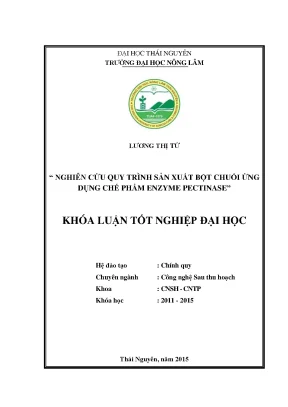 Luận văn thạc sĩ nghiên cứu quy trình sản xuất bột chuối ứng dụng chế phẩm enzyme pectinase