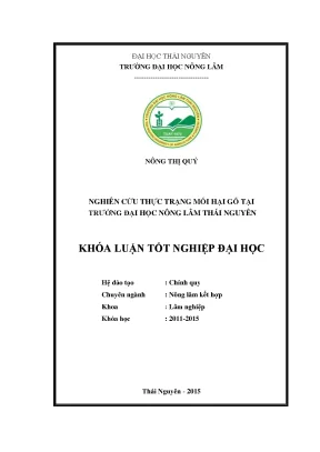Luận văn thạc sĩ nghiên cứu thực trạng mối hại gỗ tại trường đại học nông lâm thái nguyên