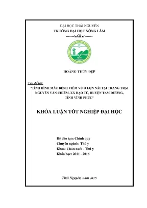 Luận văn thạc sĩ tình hình mắc bệnh viêm vú ở lợn nái tại trang trại nguyễn văn chiêm xã đạo tú huyện tam dương tỉnh vĩnh phúc