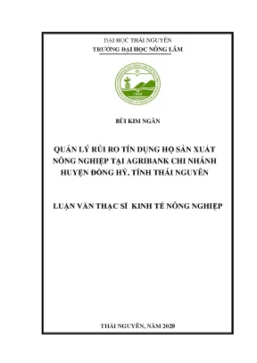 Luận văn thạc sĩ quản lý rủi ro tín dụng hộ sản xuất nông nghiệp tại agribank chi nhánh huyện đồng hỷ tỉnh thái nguyên