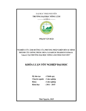 Luận văn thạc sĩ nghiên cứu ảnh hưởng của phương pháp ghép đến sự hình thành cây giống trám đen canarium tramdenum dai yakovl tại trường