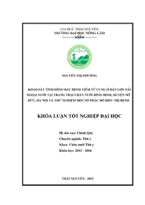 Luận văn thạc sĩ khảo sát tình hình mắc bệnh viêm tử cung ở đàn lợn nái ngoại nuôi tại trang trại chăn nuôi bình minh huyện mỹ đức hà nội