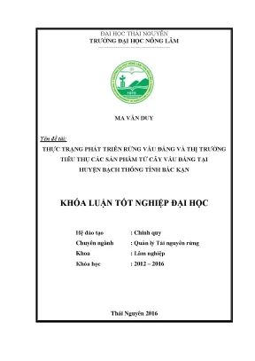 Luận văn thạc sĩ thực trạng phát triển rừng vầu đắng và thị trường tiêu thụ các sản phẩm từ rừng vầu đắng tại huyện bạch thông tỉnh bắc kạn