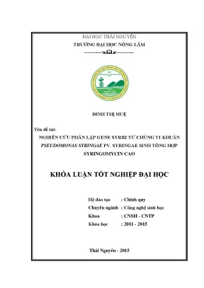 Luận văn thạc sĩ nghiên cứu phân lập gene syrb 2 ừ chủng vi khuẩn pseudomonas syringae pv syringae sinh tổng hợp syringomycin cao