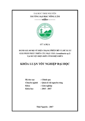 Luận văn đánh giá sơ bộ về hiện trạng phân bố và đề xuất giải pháp phát triển cây mạy chả arundinaria sp 2 tại huyện điện biên tỉnh điện biên