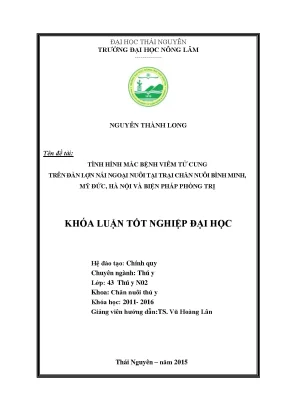 Luận văn thạc sĩ tình hình mắc bệnh viêm tử cung trên đàn lợn nái ngoại nuôi tại trại chăn nuôi bình minh mỹ đức hà nội và biện pháp phòng trị