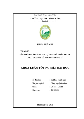 Luận văn thạc sĩ tách dòng và giải trình tự gene mã hóa enzyme nattokinase từ b subtilis