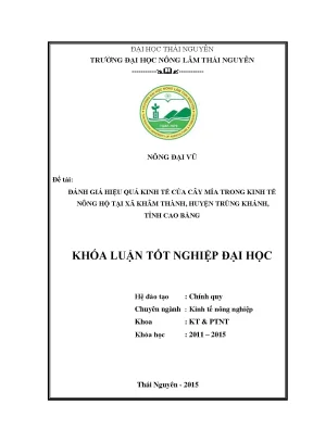 Luận văn thạc sĩ đánh giá hiệu quả kinh tế của cây mía trong kinh tế nông hộ tại xã khâm thành huyện trùng khánh tỉnh cao bằng