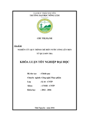 Luận văn thạc sĩ nghiên cứu quy trình chế biến nước uống lên men từ quả sơn tra
