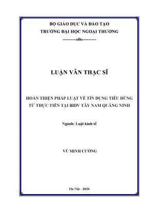 Luận văn thạc sĩ hoàn thiện pháp luật về tín dụng tiêu dùng từ thực tiễn tại