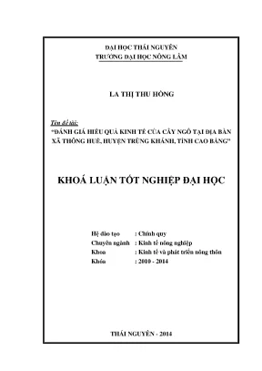 Luận văn thạc sĩ đánh giá hiểu quả kinh tế của cây ngô tại địa bàn xã thông huề huyện trùng khánh tỉnh cao bằng