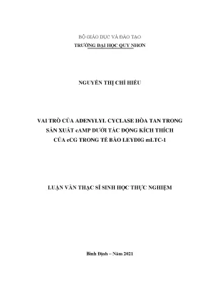 Luận văn thạc sĩ vai trò của adenylyl cyclase hòa tan trong sản xuất camp dưới tác động kích thích của ecg trong tế bào leydig mltc 1