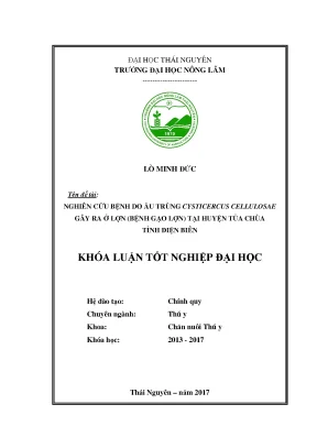 Luận văn nghiên cứu bệnh do ấu trùng cysticercus cellulosae gây ra ở lợn bệnh gạo lợn tại huyện tủa chùa tỉnh điện biên