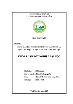 Luận văn thạc sĩ đánh giá hiệu quả mô hình trồng cây thuốc lá tại xã nà phặc huyện ngân sơn tỉnh bắc kạn