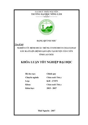 Luận văn nghiên cứu bệnh do ấu trùng cysticercus cellulosae gây ra ở lợn bệnh gạo lợn tại huyện tân uyên tỉnh lai châu