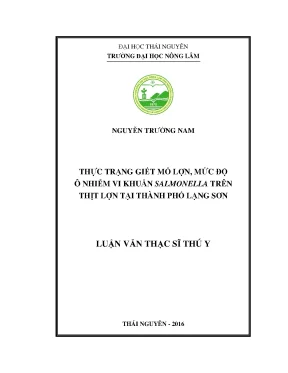 Luận văn thạc sĩ thực trạng giết mổ lợn mức độ ô nhiễm vi khuẩn salmonella trên thịt lợn tại thành phố lạng sơn
