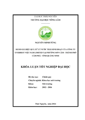 Luận văn thạc sĩ đánh giá hiệu quả xử lý nước thải sinh hoạt của công ty everbest việt nam limited tại phường sơn cẩm thành phố cẩm phả tỉnh quảng ninh