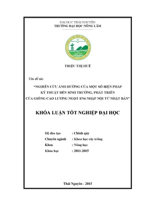 Luận văn thạc sĩ nghiên cứu ảnh hưởng của một số biện pháp kỹ thuật đến sinh trưởng phát triển của giống cao lương ngọt en6 nhập nội từ nhật bản