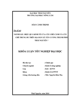 Luận văn thạc sĩ đánh giá hiệu quả kinh tế của cây chè cành và cây chè trung du trên địa bàn xã tân cương thành phố thái nguyên