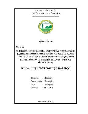 Luận văn thạc sĩ nghiên cứu một số đặc điểm sinh thái cây thủy xương bồ lá to acorus macrospadiceus yamam f n wei y k li 1985 làm cơ sở cho việc bảo tồn loài thực vật quý hiếm