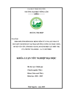 Luận văn thạc sĩ theo dõi tình hình mắc bệnh viêm tử cung sát nhau ở đàn lợn nái sinh sản tại trại lợn ông lương xã ngọc châu huyện tân yên tỉnh bắc giang