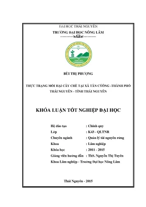 Luận văn thạc sĩ thực trạng mối hại cây chè tại xã tân cương thành phố thái nguyên tỉnh thái nguyên