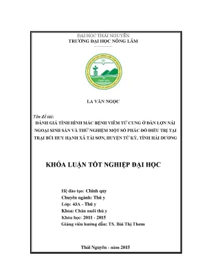 Luận văn thạc sĩ đánh giá tình hình mắc bệnh viêm tử cung ở đàn lợn nái ngoại sinh sản và thử nghiệm một số phác đồ điều trị tại trại bùi huy hạnh xã tái sơn