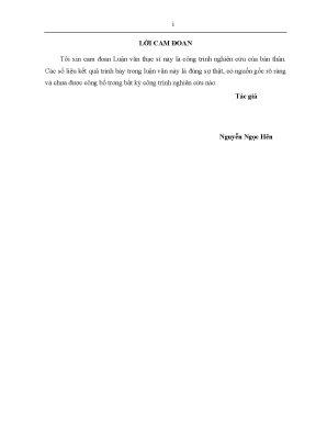 Luận văn thạc sĩ nghiên cứu giải pháp công trình kè chống xói lở bờ biển phước tỉnh huyện long điền tỉnh bà rịa vũng tàu