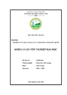 Luận văn thạc sĩ nghiên cứu khả năng xử lý xốp bằng tinh dầu quýt
