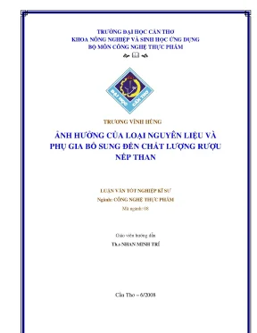 8 luận văn ảnh hưởng của loại nguyên liệu và phụ gia bổ sung đến chất lượng rượu nếp than