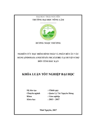 Luận văn nghiên cứu đặc điểm hình thái và phân bố rừng vầu đắngindosasa angustata mc cluretai huyện chợ đồn tỉnh bắc kạn