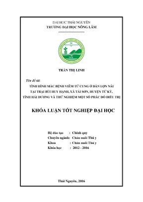 Luận văn thạc sĩ tình hình mắc bệnh viêm tử cung ở đàn lợn nái tại trang trại bùi huy hạnh xã tái sơn huyện tứ kỳ tỉnh hải dương và thử nghiệm một số phác đồ điều trị