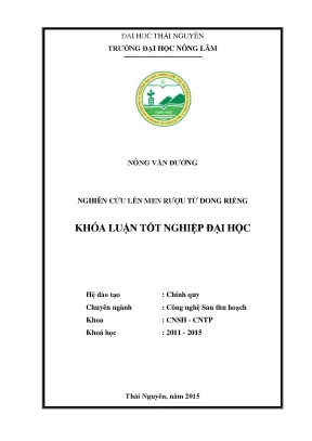 Luận văn thạc sĩ nghiên cứu lên men rượu từ dong riềng