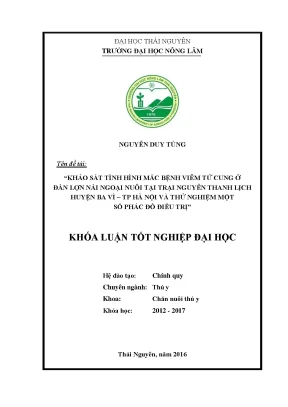 Luận văn thạc sĩ khảo sát tình hình mắc bệnh viêm tử cung ở đàn lợn nái ngoại nuôi tại trại nguyễn thanh lịch huyện ba vì thành phố hà nội và thử nghiệm một số phác đồ điều trị