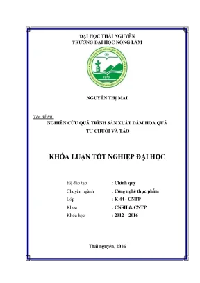 Luận văn thạc sĩ nghiên cứu quá trình sản xuất dấm hoa quả từ chuối và táo