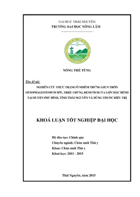 Luận văn thạc sĩ nghiên cứu thực trạng ô nhiễm trứng giun tròn oesophagostomum spp triệu chứng bệnh bệnh tích của lợn mắc bệnh tại huyện phú bình tỉnh thái nguyên
