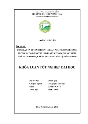 Luận văn thạc sĩ phân lập và tuyển chọn vi khuẩn phân giải cllulose trong dạ cỏ động vật nhai lại và ứng dụng sản xuất chế phẩm sinh học sử dụng trong bảo vệ môi trường