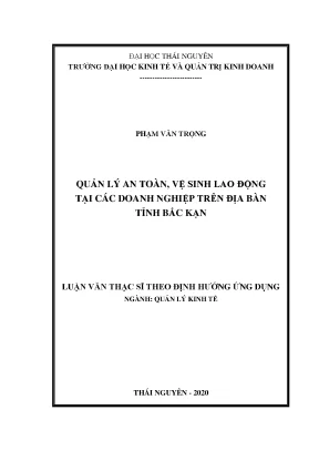 Luận văn thạc sĩ quản lý an toàn vệ sinh lao động tại các doanh nghiệp trên địa bàn tỉnh bắc kạn
